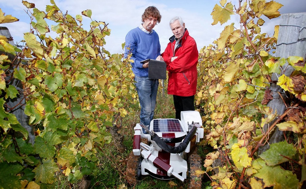 Robótica y viticultura